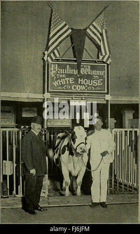 Dr. David Roberts praktische home Tierarzt (1913) Stockfoto