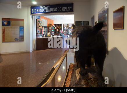 Alpine, Texas - Museum des Big Bend im Sul Ross State University. Stockfoto