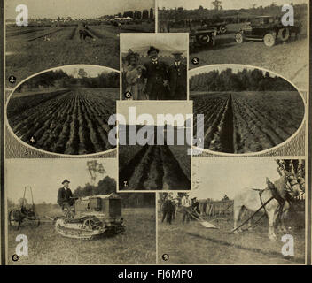 Bauernmarkt-Magazin (Januar-Dezember 1920) (1920) Stockfoto