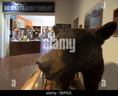 Alpine, Texas - Museum des Big Bend im Sul Ross State University. Stockfoto