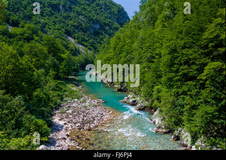 Tiefe Schlucht der Tara Gebirgsfluss. Stockfoto