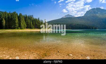 Panorama des Berges Black Lake im Durmitor National park Stockfoto