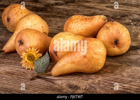 reife Birnen über Holz Stockfoto