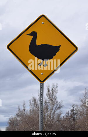 Ente Zeichen überschreiten. Stockfoto