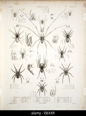 Historia fisica y politica de Chile Stockfoto