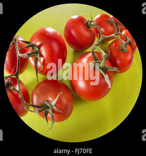 Tomaten auf einem grünen Hintergrund, fisheye-Objektiv, Weitwinkel Verzeichnung des Objektivs weit, riesige Runde rot-grün, glänzend, frisch mit Stielen, bu Stockfoto