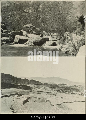 Anhang zu den Zeitschriften des Senats und der Versammlung der Sitzung der Legislative des Staates Kalifornien (1917): Ein Gesetzgebungsdokument, das die offiziellen Aufzeichnungen durch zusätzliche Verfahren und Berichte ergänzt Stockfoto