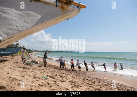 Fischer ziehen das Netz aus dem Meer, Tangalle, Sri Lanka, Asien Stockfoto