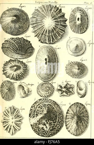 L ' histoire Naturelle C3A9claircie Dans Deux de ses Parteien Principales, la Lithologie et la Conchyliologie - nicht l'une Traite des Pierres et l ' autre des Coquillages - Ouvrage Dans Lequel auf Trouvé Une Stockfoto