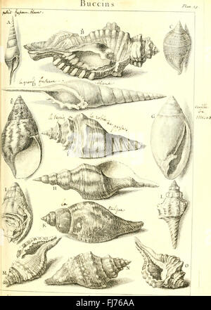 L ' histoire Naturelle C3A9claircie Dans Deux de ses Parteien Principales, la Lithologie et la Conchyliologie - nicht l'une Traite des Pierres et l ' autre des Coquillages - Ouvrage Dans Lequel auf Trouvé Une Stockfoto