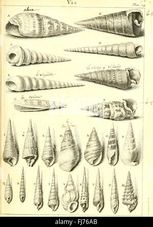 L ' histoire Naturelle C3A9claircie Dans Deux de ses Parteien Principales, la Lithologie et la Conchyliologie - nicht l'une Traite des Pierres et l ' autre des Coquillages - Ouvrage Dans Lequel auf Trouvé Une Stockfoto