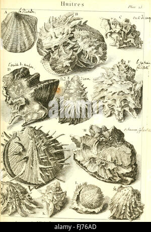 L ' histoire Naturelle C3A9claircie Dans Deux de ses Parteien Principales, la Lithologie et la Conchyliologie - nicht l'une Traite des Pierres et l ' autre des Coquillages - Ouvrage Dans Lequel auf Trouvé Une Stockfoto