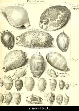 L ' histoire Naturelle C3A9claircie Dans Deux de ses Parteien Principales, la Lithologie et la Conchyliologie - nicht l'une Traite des Pierres et l ' autre des Coquillages - Ouvrage Dans Lequel auf Trouvé Une Stockfoto