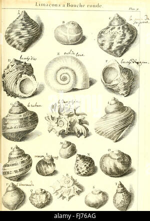 L ' histoire Naturelle C3A9claircie Dans Deux de ses Parteien Principales, la Lithologie et la Conchyliologie - nicht l'une Traite des Pierres et l ' autre des Coquillages - Ouvrage Dans Lequel auf Trouvé Une Stockfoto