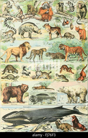 Larousse Universel en 2 Bände; Nouveau Dictionnaire Enzyklopédique Publié Sous la direction de Claude Augé (1922) Stockfoto