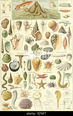 Larousse Universel en 2 Bände; Nouveau Dictionnaire Encyclopédique Publié sous la direction de Claude Augé (1922) – ein Enzyklopädisches Wörterbuch, das 1922 veröffentlicht wurde und verschiedene wissenschaftliche, kulturelle und historische Themen abdeckt. Stockfoto