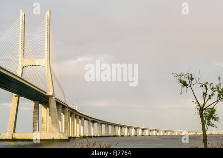 Vasco da Gama Brücke bei Sonnenuntergang Stockfoto