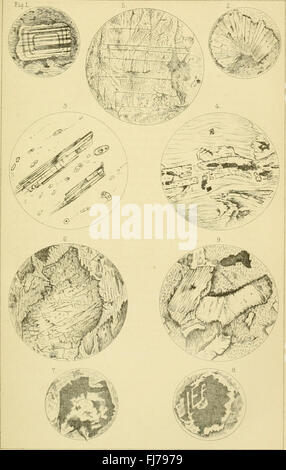 Monatliche mikroskopischen Erfassungsbuchungen der mikroskopischen Royal Society und Aufzeichnung der histologischen Forschung im in- und Ausland (1876) Stockfoto