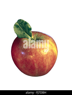 Braeburn Apfel auf weißen background.in Studioumgebung Stockfoto