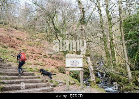 An der Basis des Berges Cadair, Cader Idris in Snowdonia-Nationalpark, Norden, Wales,U.K. Minffordd Weg Weg. Stockfoto