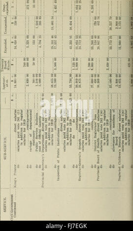 Öffentlichen Haushalte von der Provinz von Ontario für das Jahr beendet 31. Oktober 1919 (1920) Stockfoto