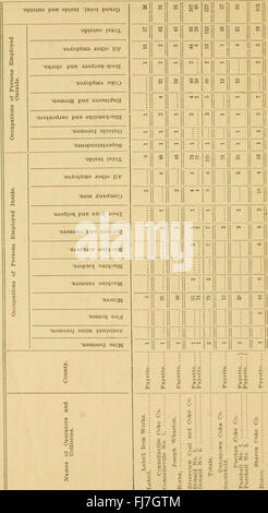 Bericht des Bureau of Mines der Abteilung für innere Angelegenheiten von Pennsylvania (1903) Stockfoto