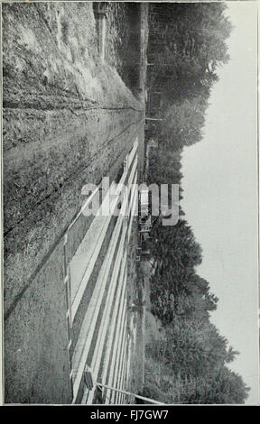 Bericht des Kommissars für das Geschäftsjahr zum 30. Juni 1899 (1900) Stockfoto