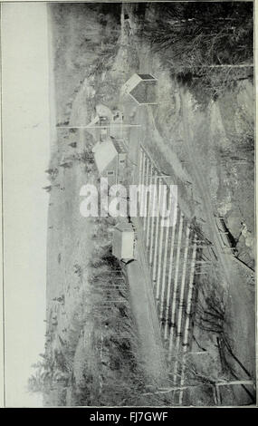 Bericht des Kommissars für das Geschäftsjahr zum 30. Juni 1899 (1900) Stockfoto