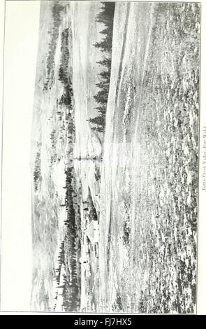 Tagungen Papiere des Dominion of Canada 1914 (1914) Stockfoto