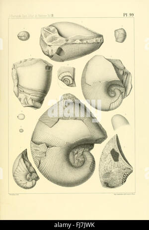 SystC3AAme Silurien du centre De La BohC3AAme (pl. 99) Stockfoto