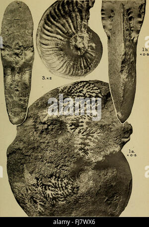 Die vierteljährlich erscheinende Zeitschrift der Geological Society of London (1917) Stockfoto