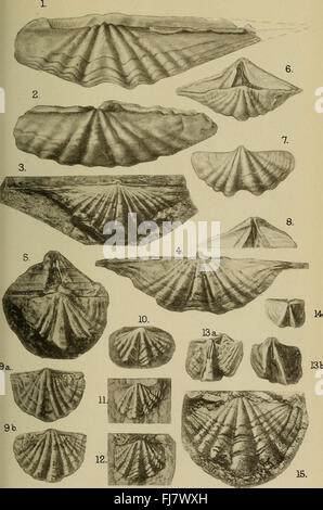 Die vierteljährlich erscheinende Zeitschrift der Geological Society of London (1917) Stockfoto