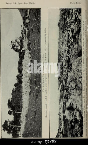 Transactions of the Royal Society of New Zealand (1911) Stockfoto