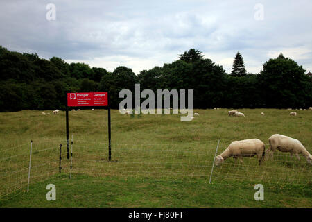 Vimy Ridge kanadischen National Memorial, Frankreich Stockfoto