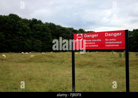 Vimy Ridge kanadischen National Memorial, Frankreich Stockfoto