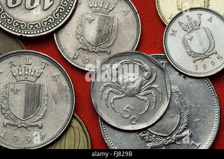 Münzen aus Malta. Maltesische Frischwasser Krabbe (Potamon fluviatile Lanfrancoi) in der maltesischen fünf-Cent-Münze abgebildet. Stockfoto