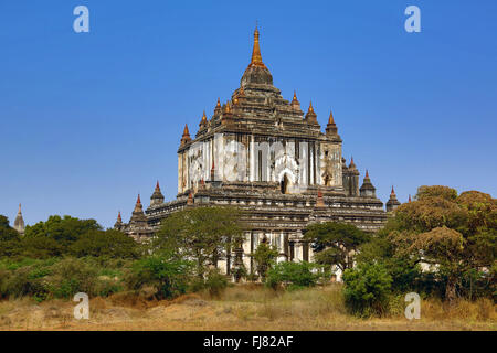 Thatbyinnyu Tempel Pagode in Old Bagan, Bagan, Myanmar (Burma) Stockfoto