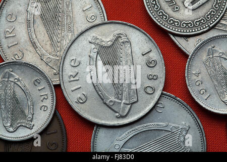 Münzen von Irland. Keltische Harfe in die irische Pfund-Münzen abgebildet. Stockfoto