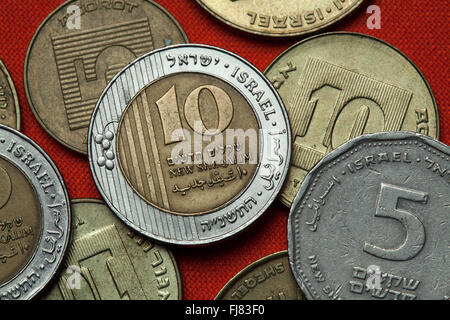 Münzen von Israel. Zehn israelische neue Schekel Münzen. Stockfoto