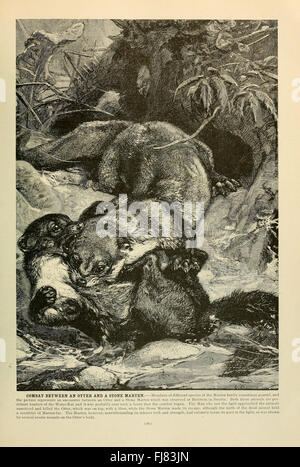 Eine Seite aus "Brehm's Life of Animals", auf der das Verhalten von Säugetieren und ihre natürliche Umgebung diskutiert wird Stockfoto