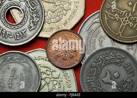 Münzen von Turkmenistan. Turkmenistan eine Tenge-Münze. Stockfoto