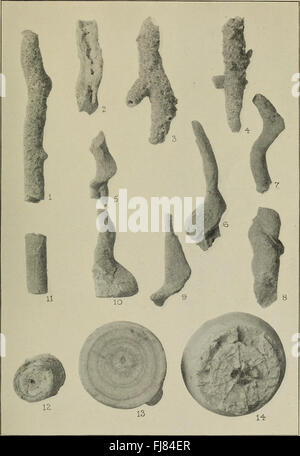 Bulletin of the Geological Society of America (1923) Stockfoto