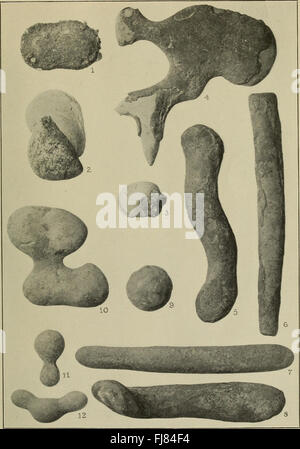 Eine wissenschaftliche Publikation, die die Ergebnisse der Geological Society of America dokumentiert und geologische Untersuchungen, Entdeckungen und Studien über verschiedene geologische Felder umfasst. Stockfoto