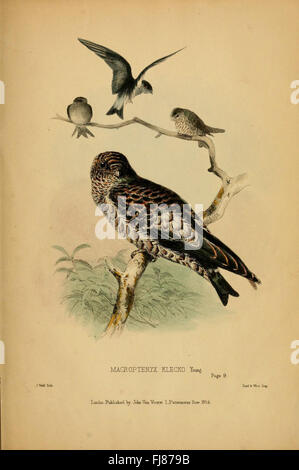 Beiträge zur Naturgeschichte von Labuan und den angrenzenden Küsten von Borneo - Naturgeschichte von Labuan und Borneos Küstenökosystemen Stockfoto