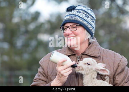 Frau mit der Flasche füttern ein Lamm. Stockfoto