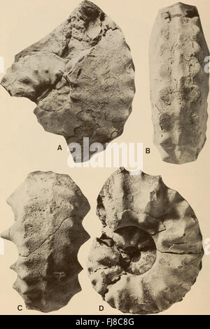 Annalen der South African Museum - Annale van sterben Suid-Afrikaanse Museum (1982) Stockfoto