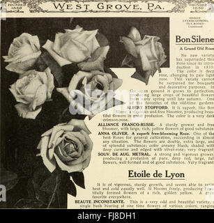 Dingee Leitfaden für rose Kultur - für mehr als 60 Jahren eine Behörde (1915) Stockfoto