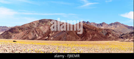 Panoramablick auf gelbe Wildblumen Feld mit Schokolade braunen Hügeln im Hintergrund unter blauem Himmel mit weißen Wolken. Stockfoto