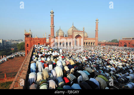 Jama Masjid, muslimische Männer beten in Moschee, Delhi, Indien, Asien Stockfoto