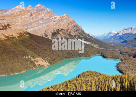 Peyto Lake im Banff Nationalpark, Kanada. Fotografiert an einem schönen sonnigen Tag mit strahlend blauem Himmel. Stockfoto